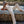 NAOMI PANT