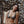 Bikini Top Sheyla